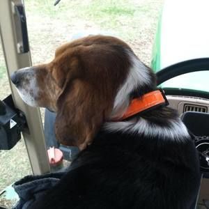 Meet your Posher, Bill